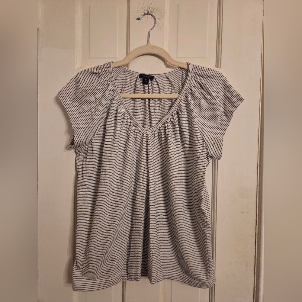 Ann Taylor Blue and White V-Neck Striped Tee
